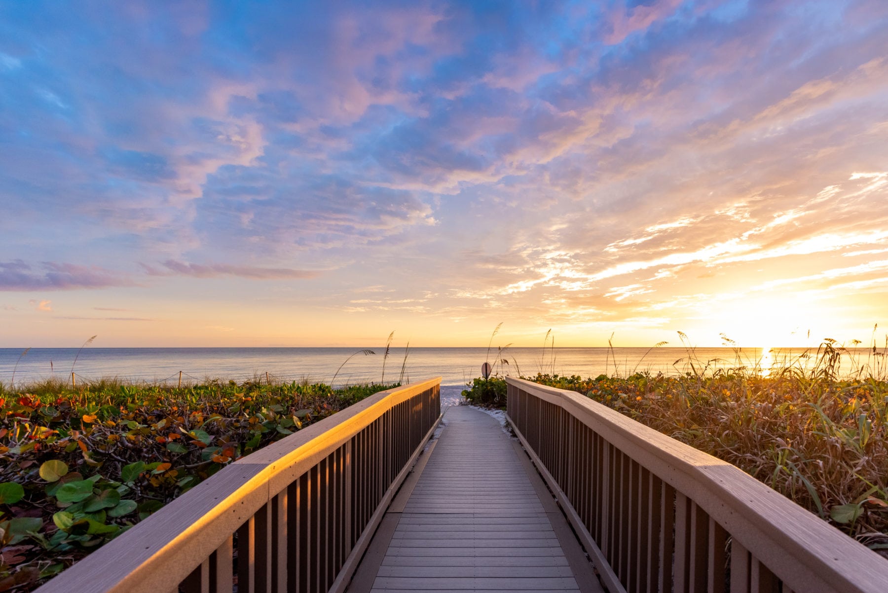 Southwest Florida neighborhood imagery