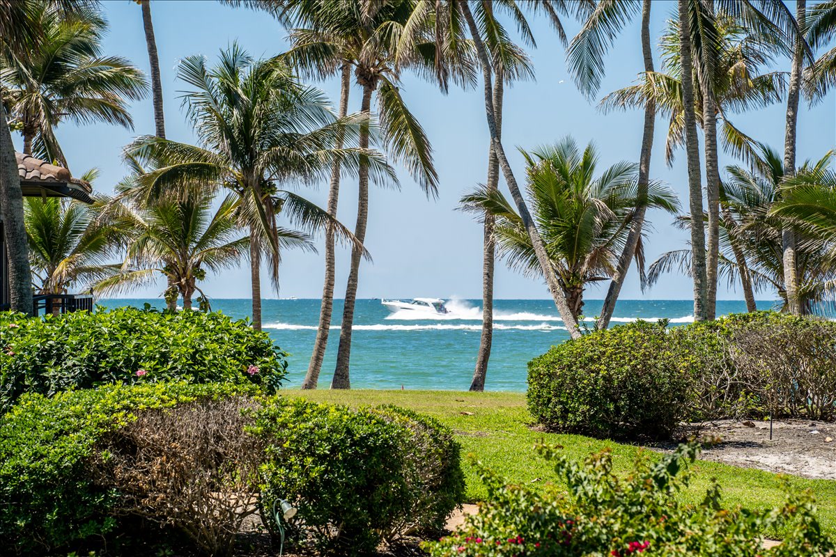 Tropical garden opening toward blue Gulf water