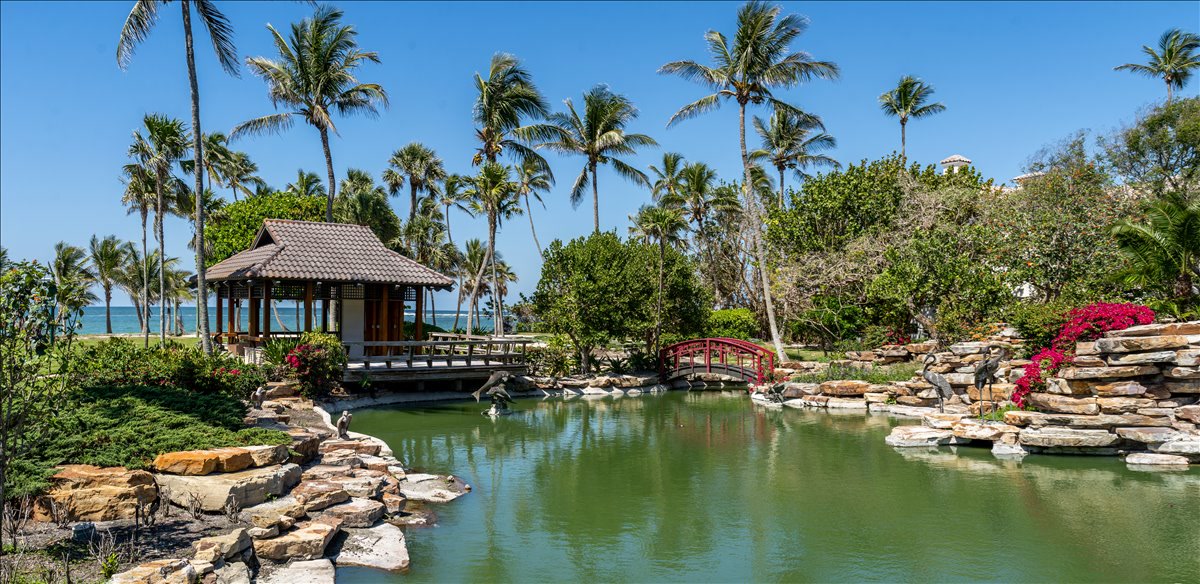 Waterside pavilion framed by palms and a landscaped pond